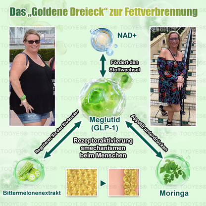 Offizieller Shop | TOOYES® Meglutid GLP-1 aktivierende orale Lösung – Moringa • NAD+ • Yerba Mate – Natürliche Unterstützung für Gewichtsabnahme, Anti-Aging & Zuckerstoffwechsel